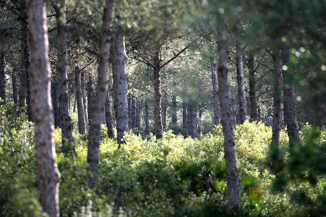 Posadas-Sierrezuela